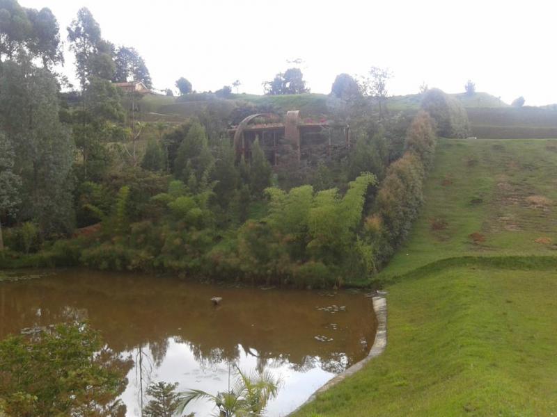 2022060501146394645252106