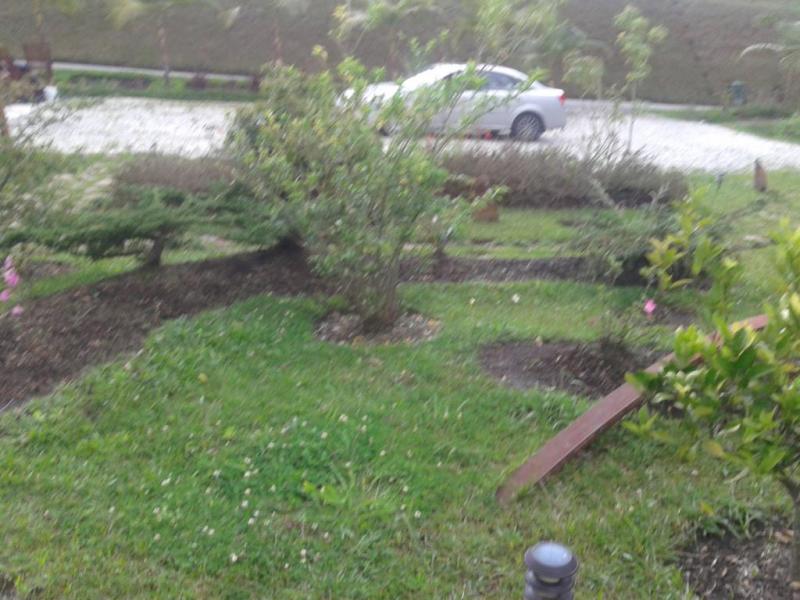 2022060501166829275252106