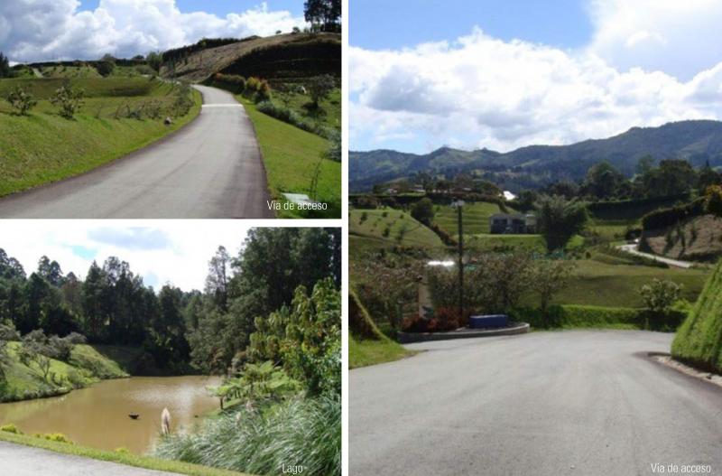 2022060501196823025252106