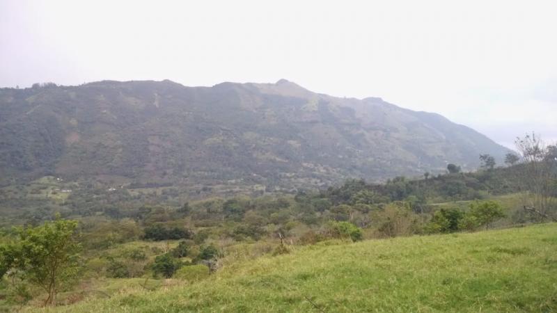 2022060503375655505252140-1