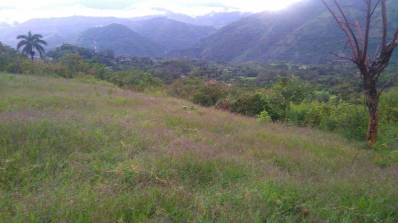 2022060503381460835252140