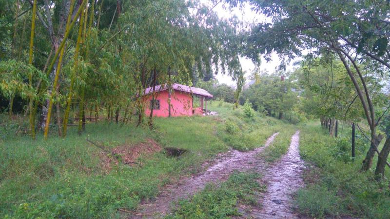 2022060503400414565252140