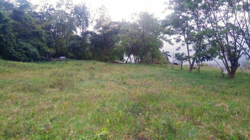 2022060503411685025252140