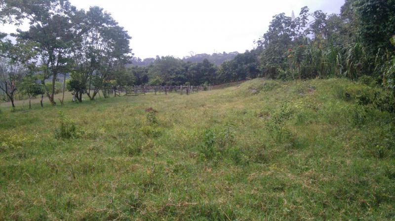 2022060503422265565252140