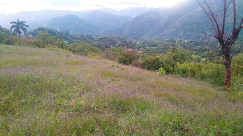 2022060503432580815252140