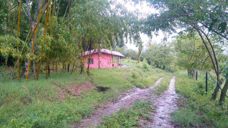 2022060503442399685252140