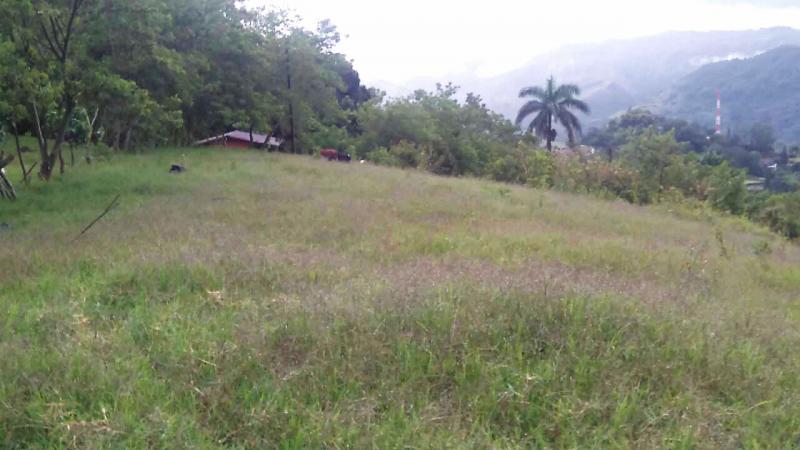 2022060503452883865252140