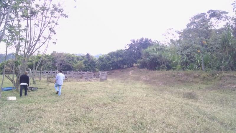 2022060503478988885252140