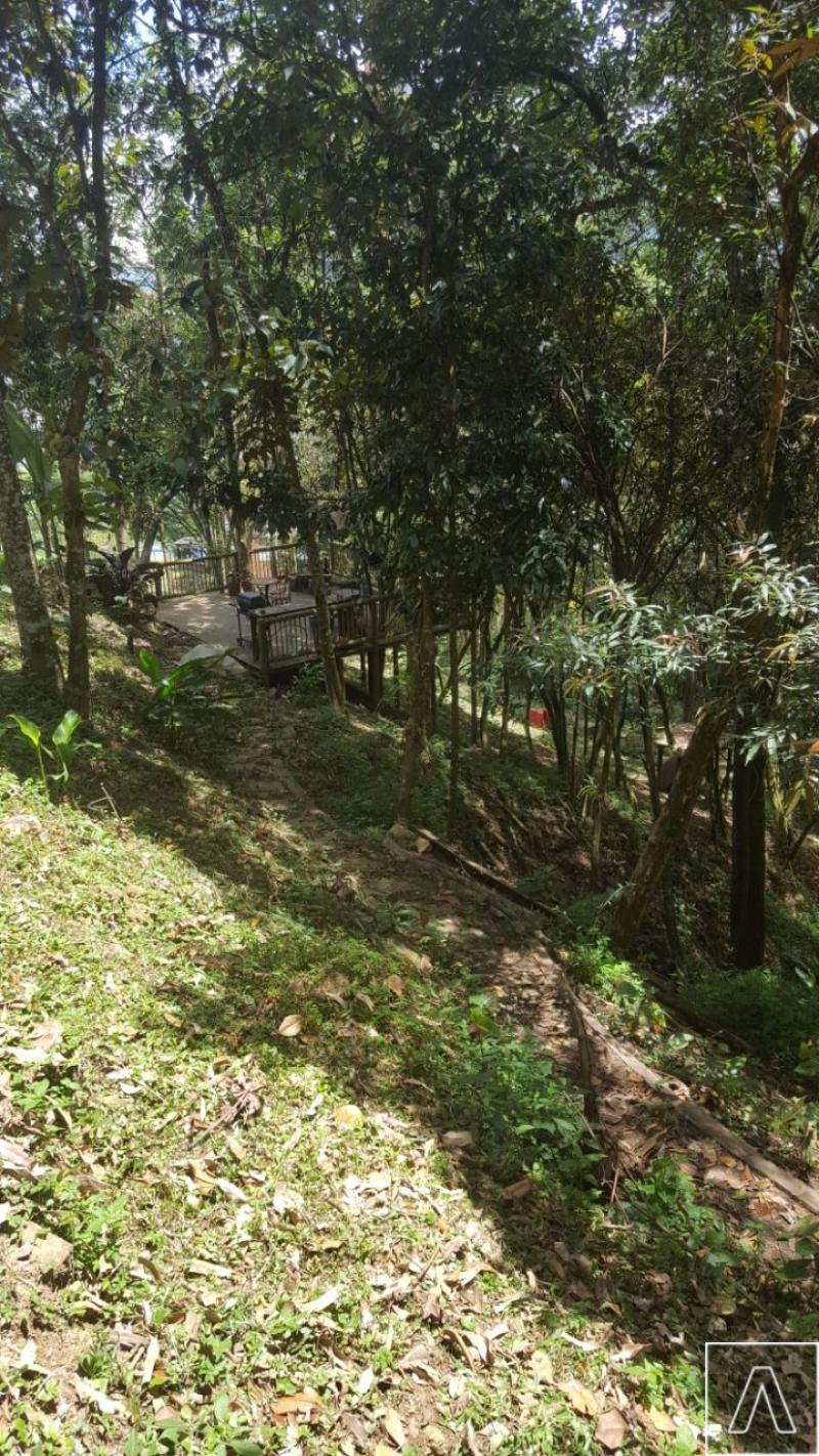 2022060509243939485252205