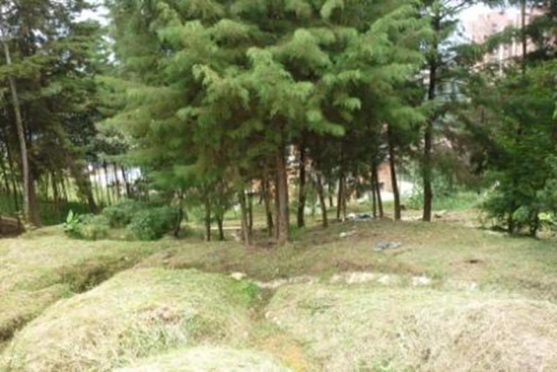 2022060509281373955252205