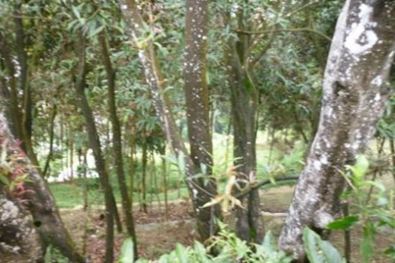 2022060509311960975252205