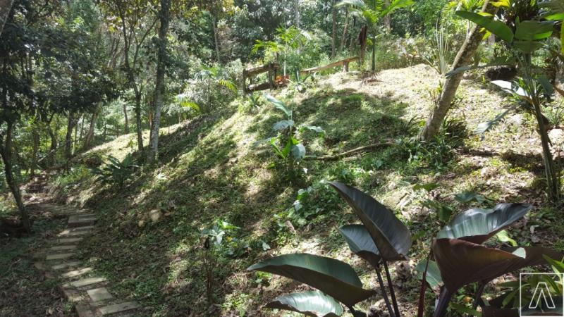 2022060509318991975252205