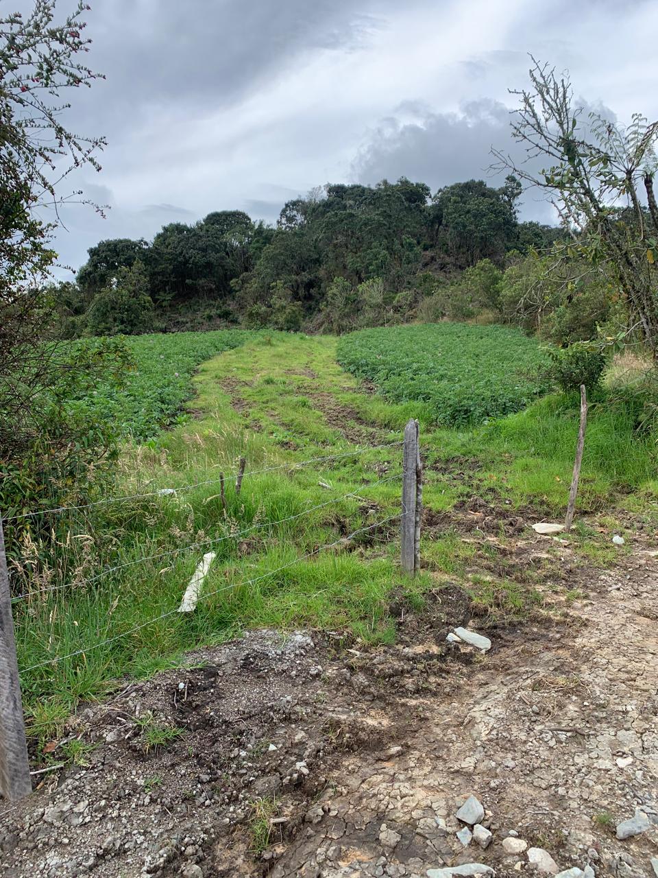 857301020240528092418