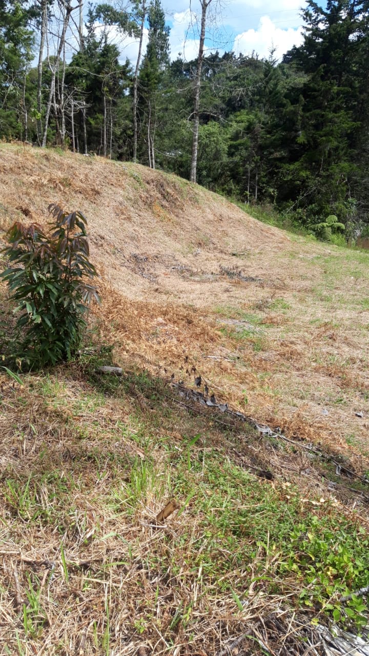 857301020240709043843