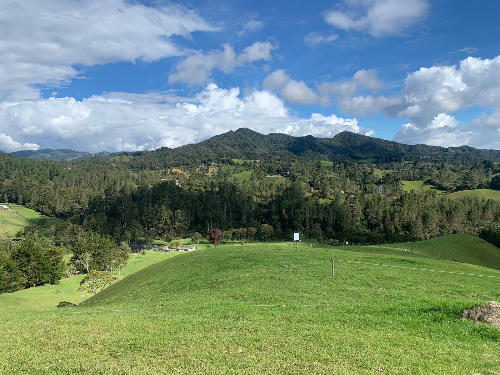 857301020241114022219