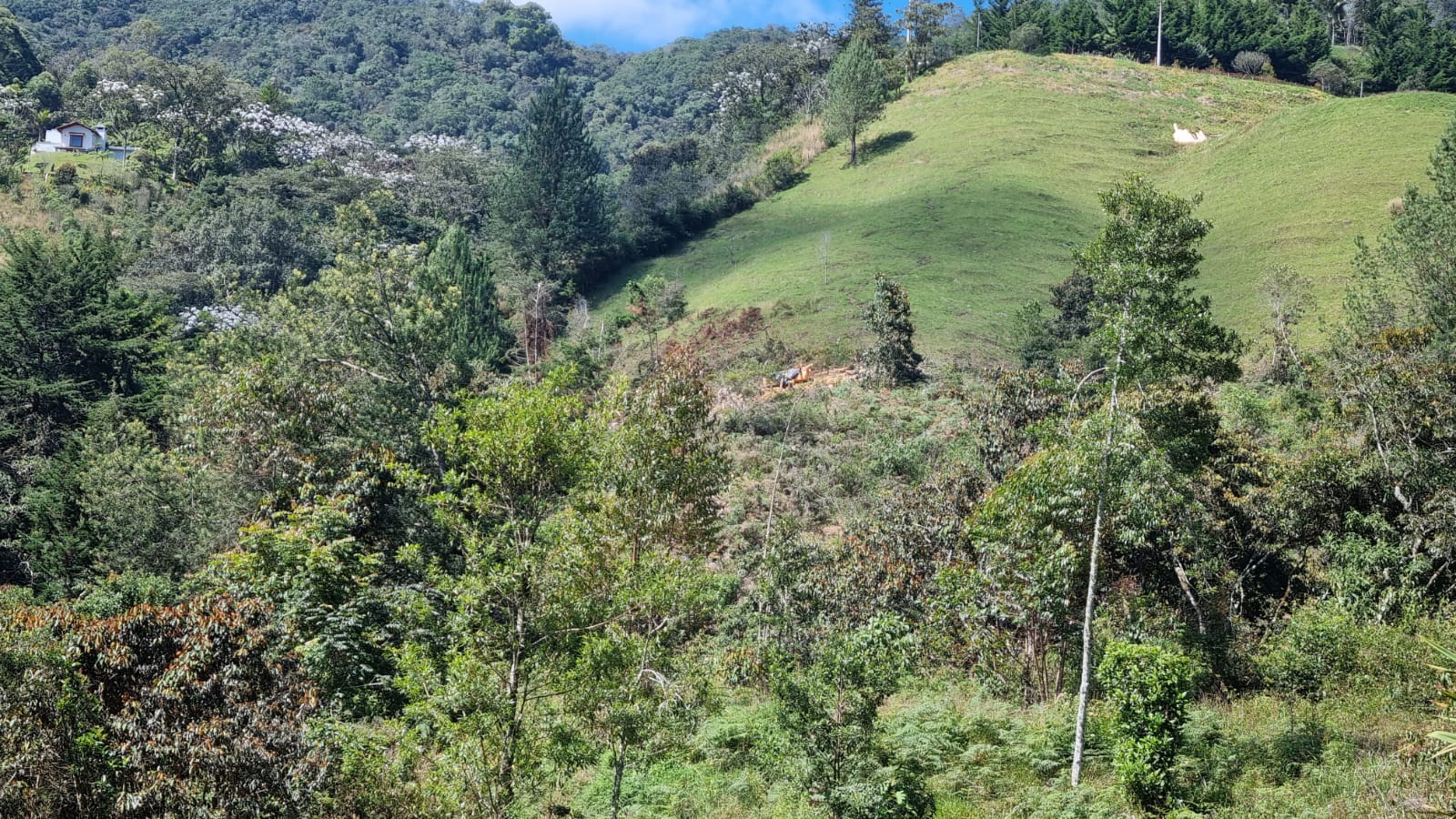 857301120240709043843