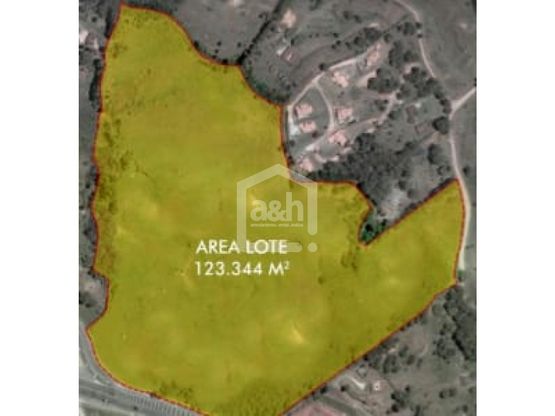 85730120240321123115