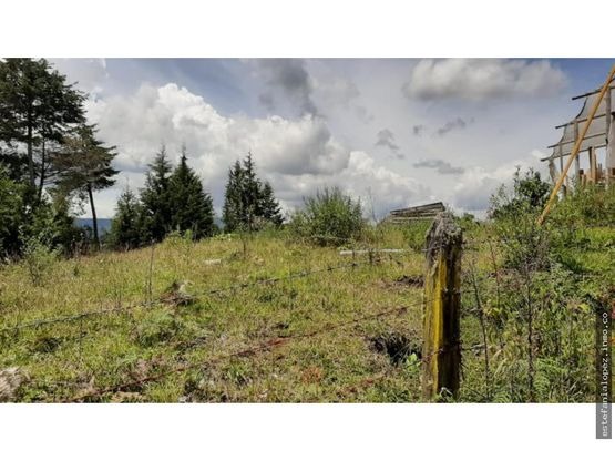 85730120240429095821