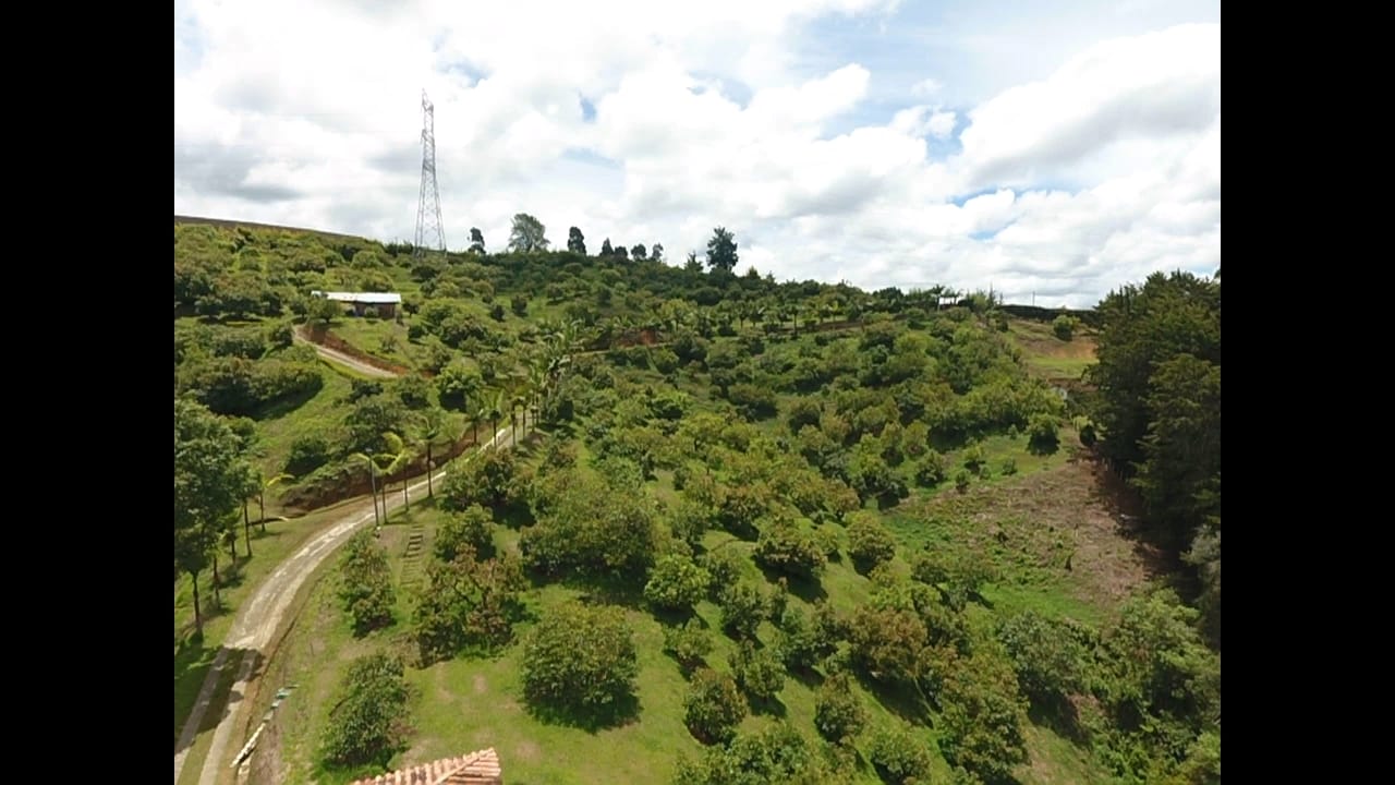 85730120240502093800