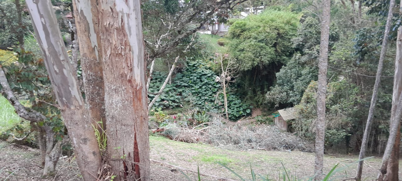 85730120240524022919