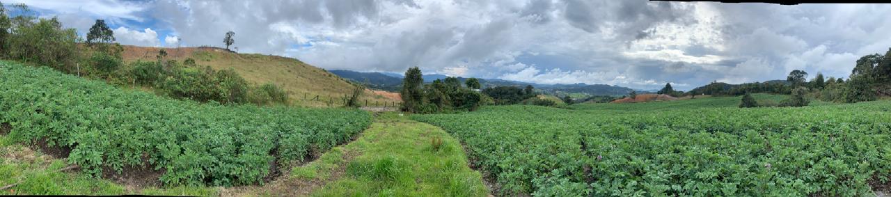 85730120240528092415