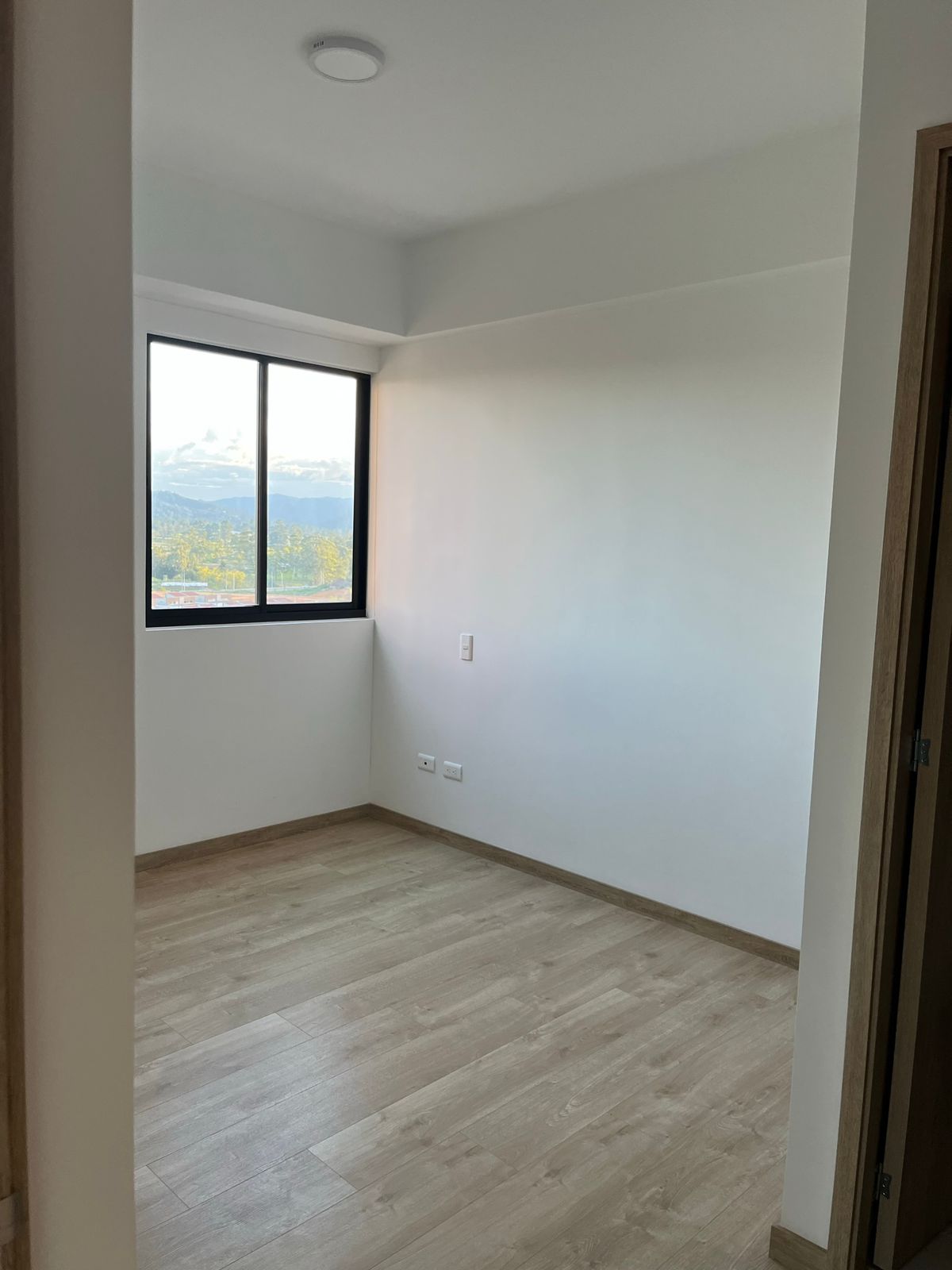 85730120240625030001