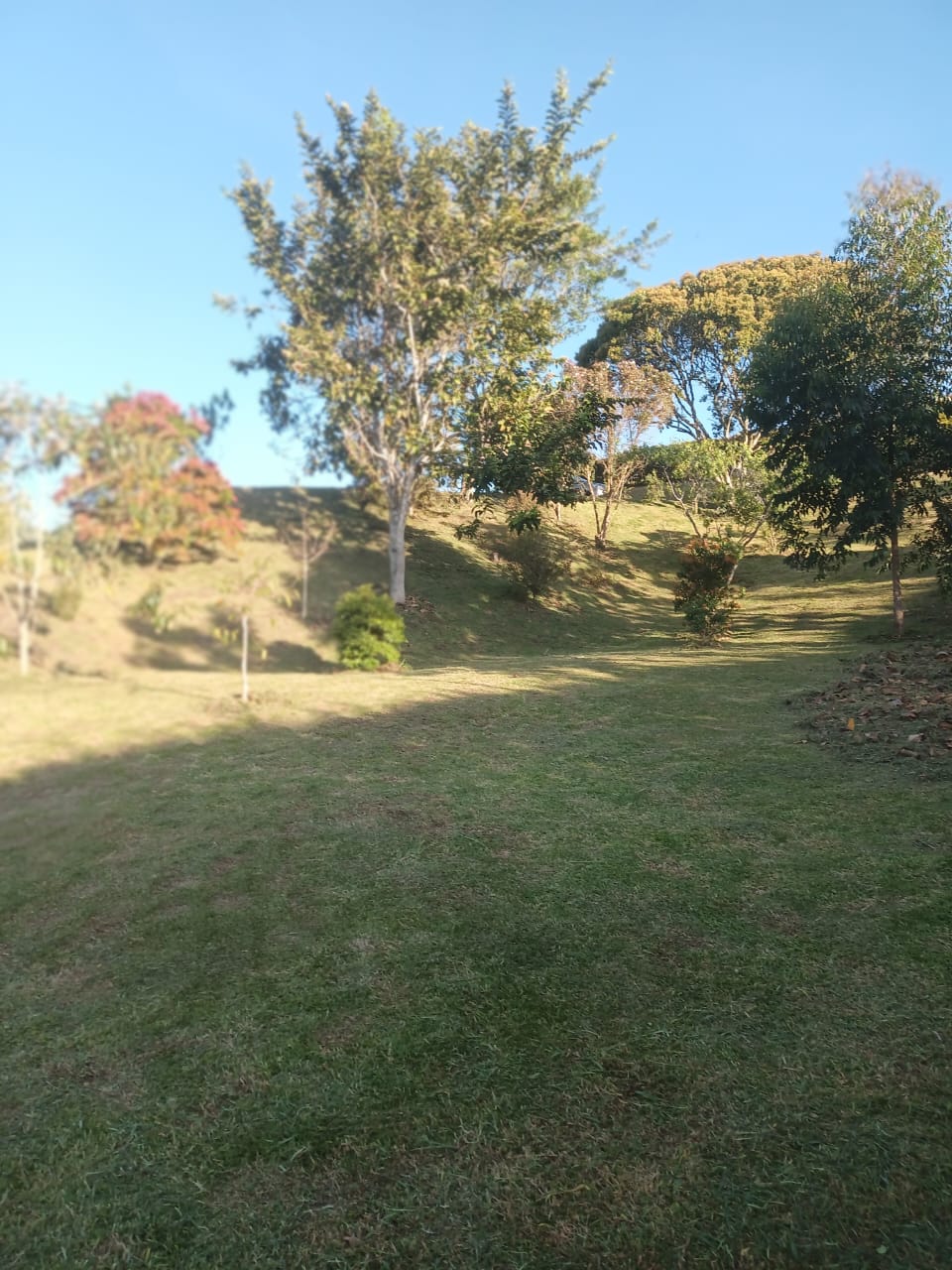 85730120240808115736