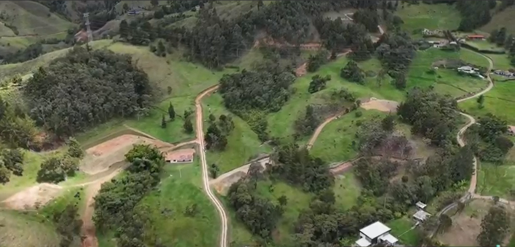 85730120240826041149-1