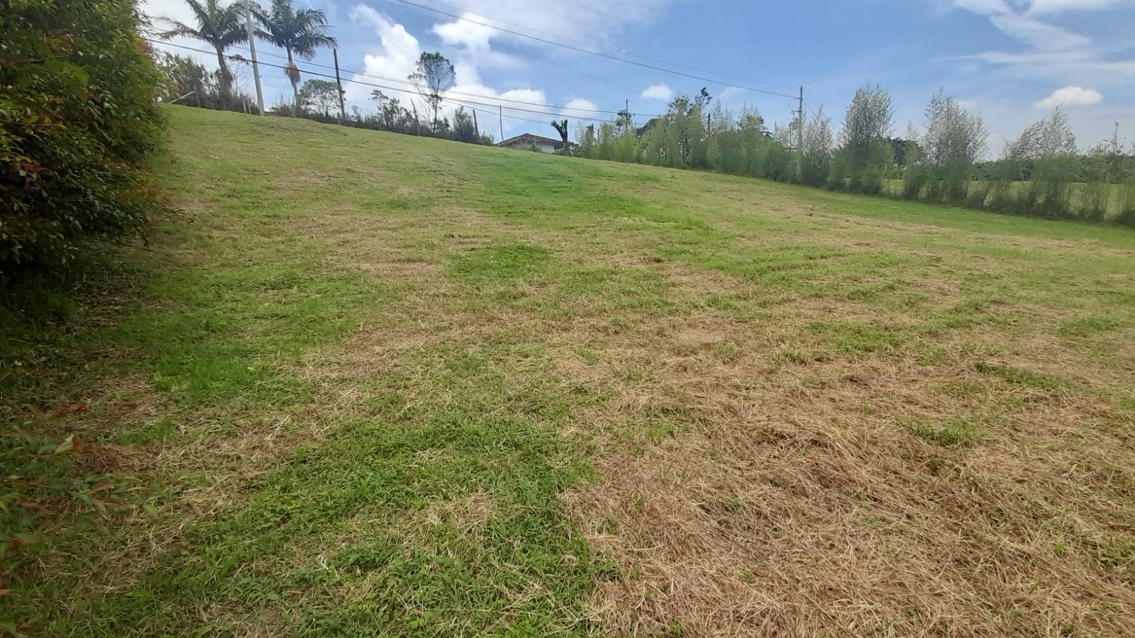 85730120240917040229