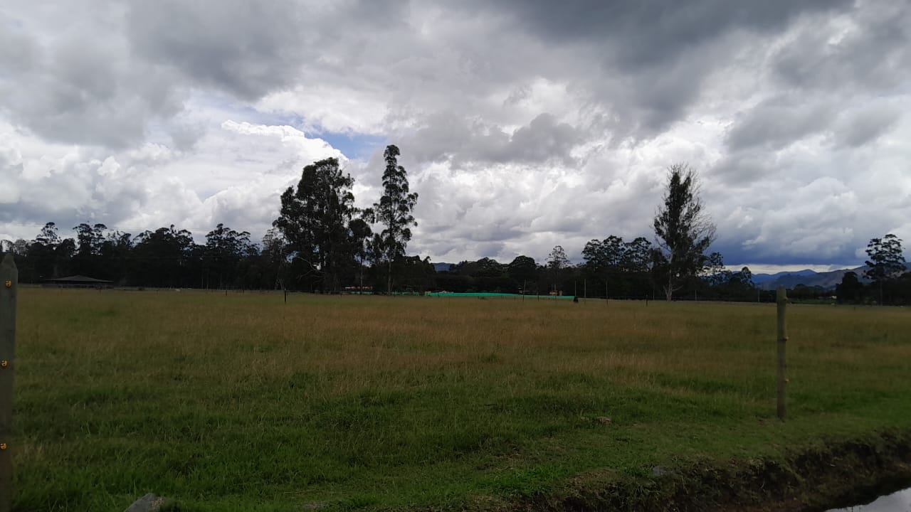 85730120241107102319-1