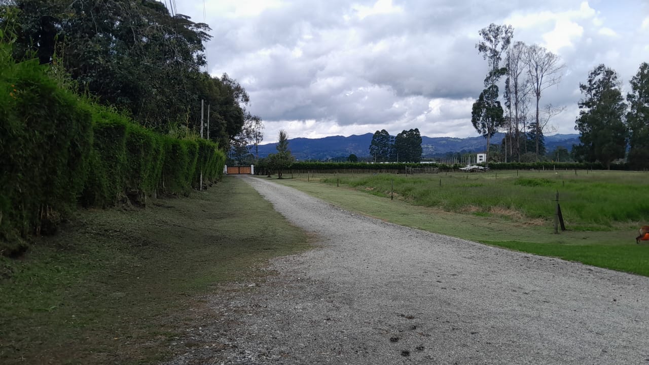 85730120241107122050