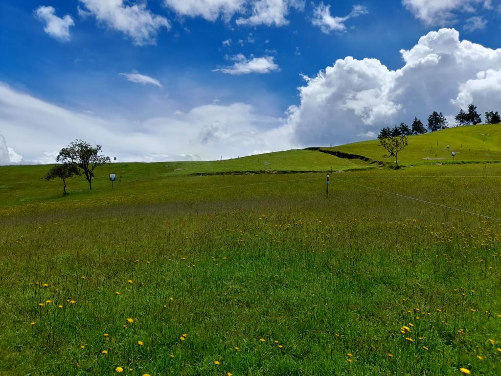 85730120241114022216