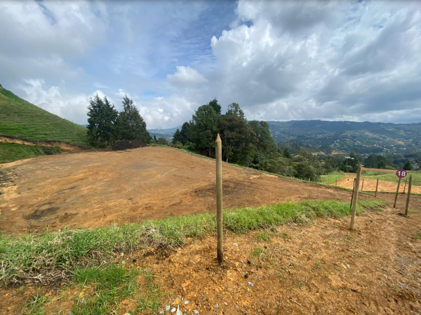 85730120250225022001