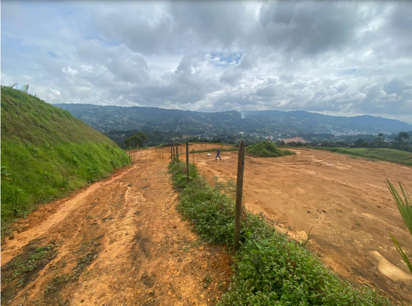 85730120250225123846