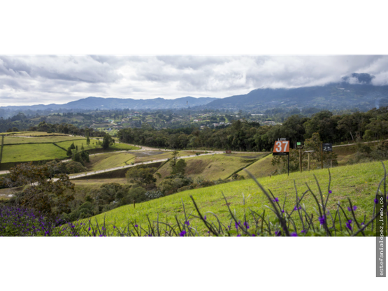 85730120250625010154