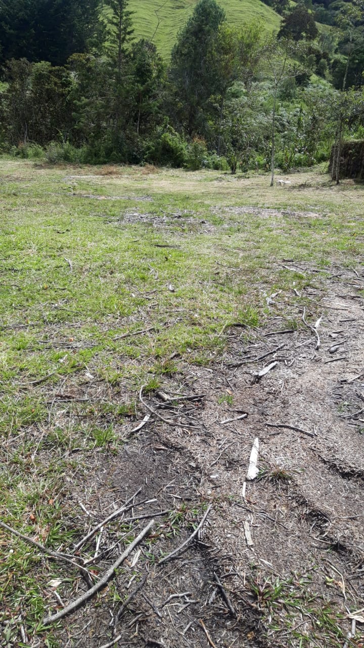 857301220240709043844