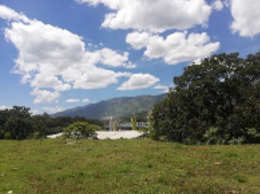 857301220241107092217