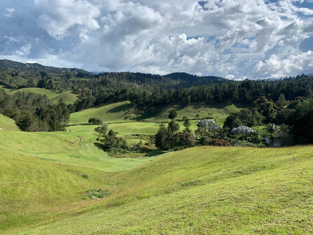 857301220241114022219-1