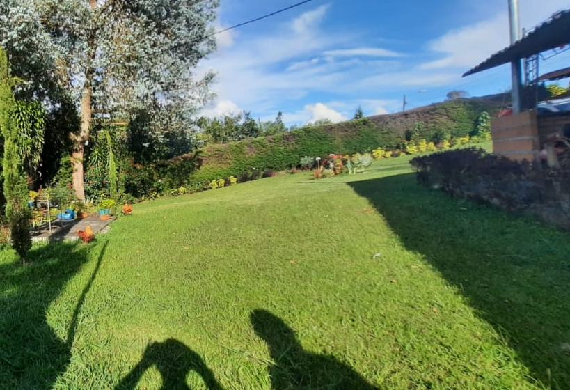 857301320220825115847