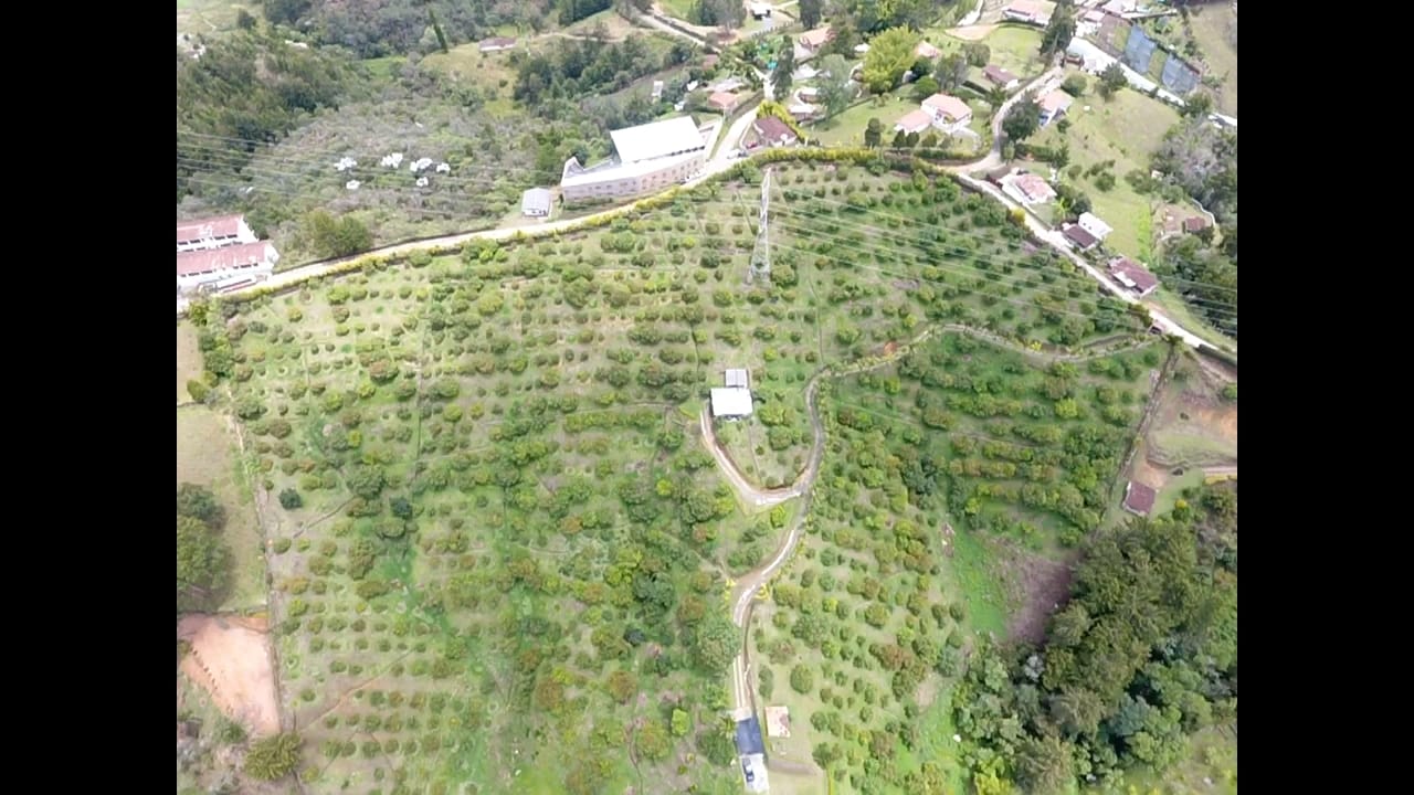 857301320240502093843