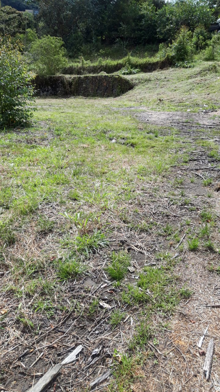 857301320240709043844