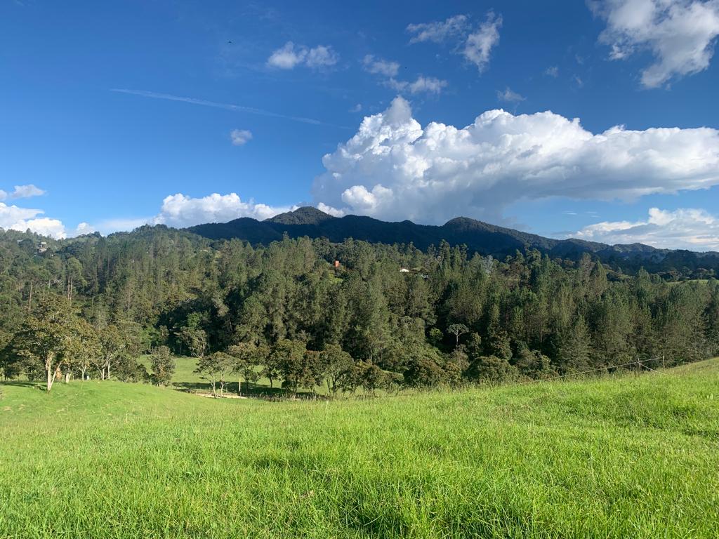 857301320241114022220