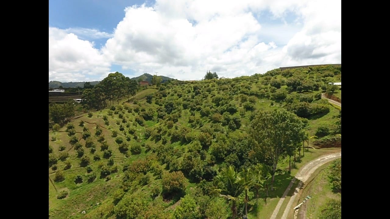 857301420240502093844