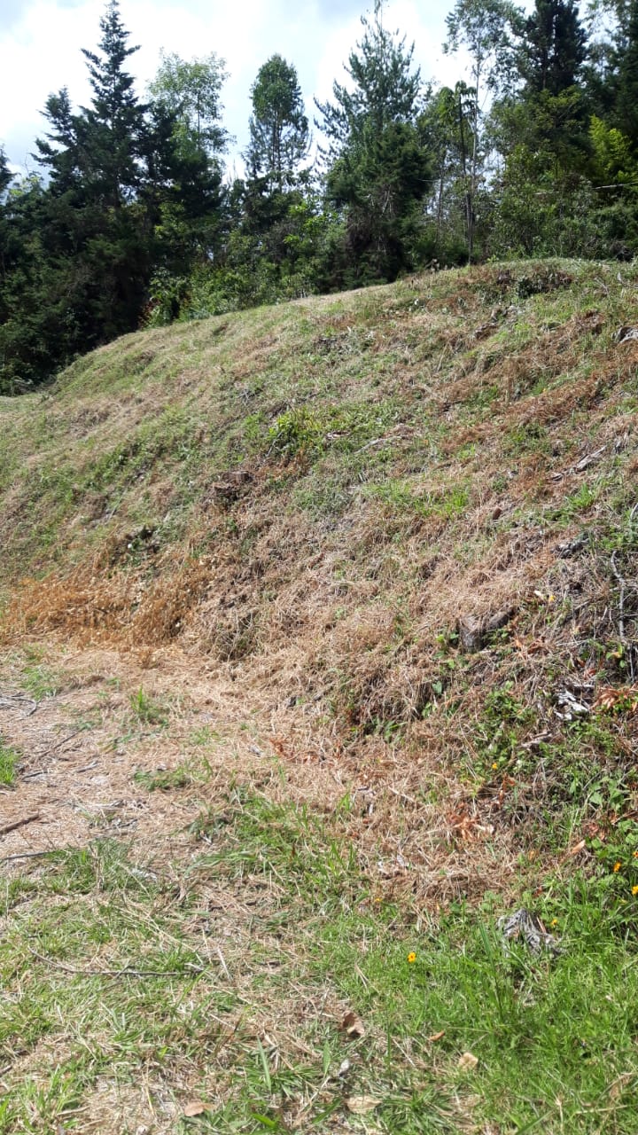 857301420240709043844