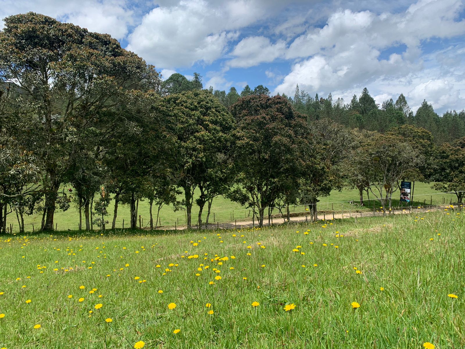 857301420241114022220