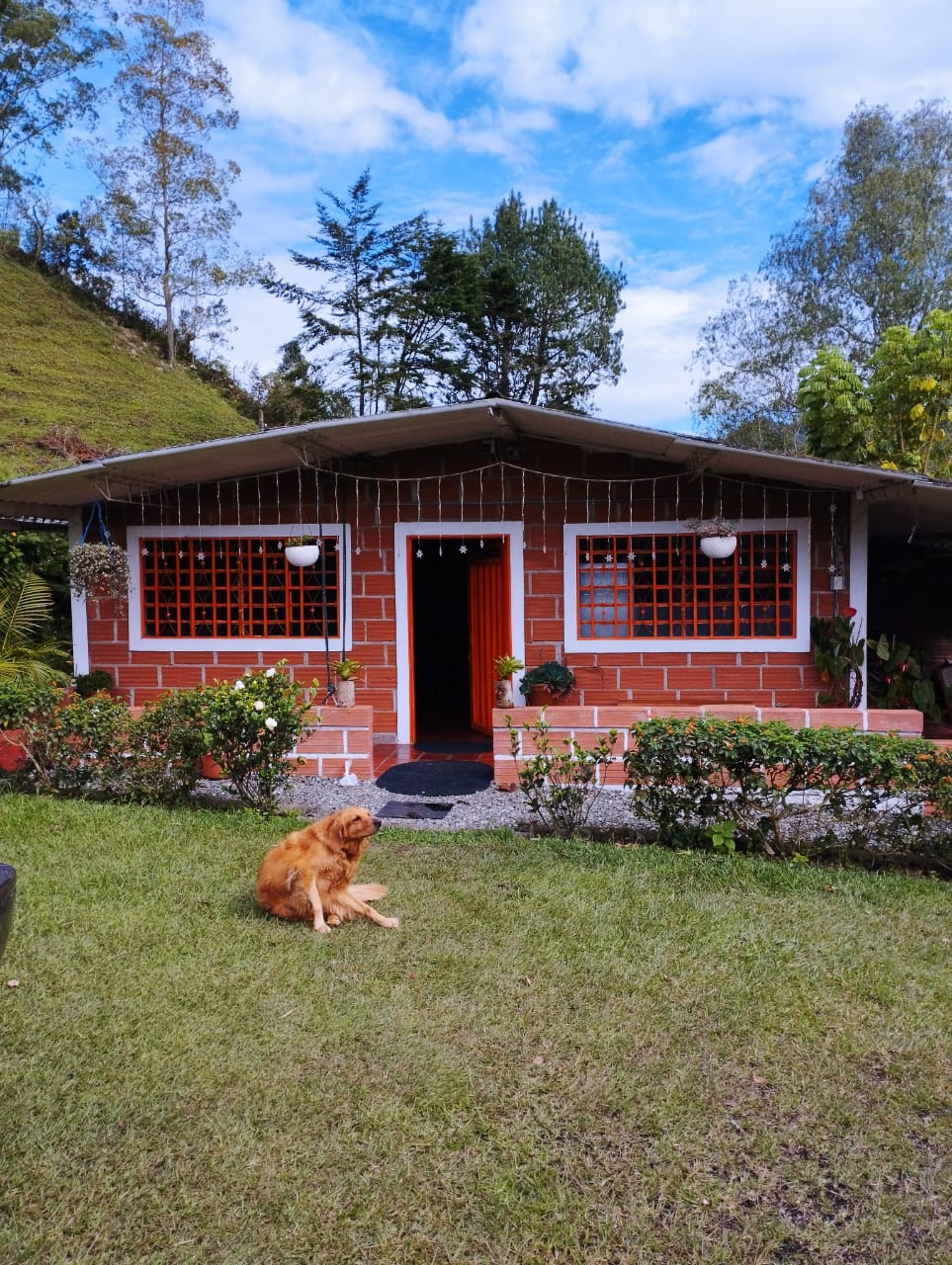 857301520220825115038-1