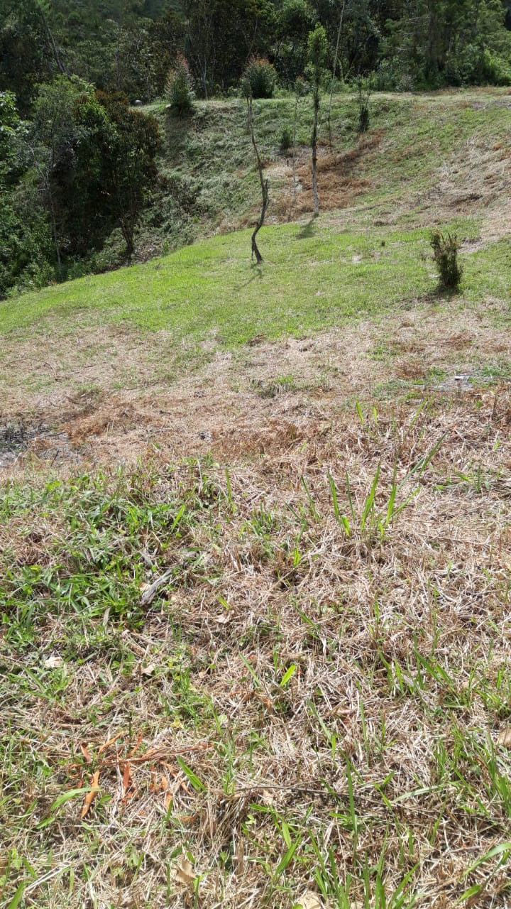 857301520240709043844