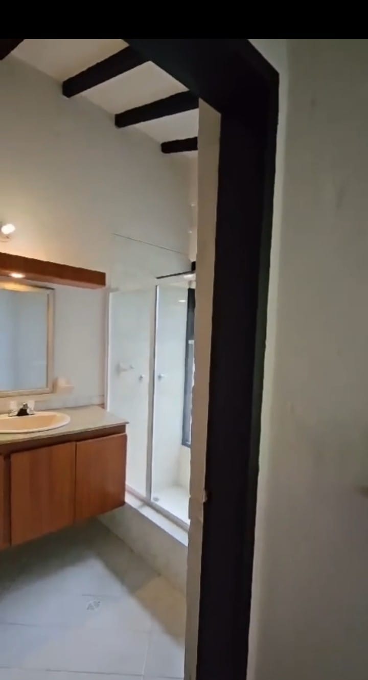 857301520240729125255