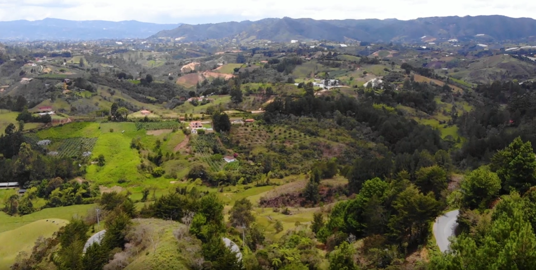 857301820220709123841