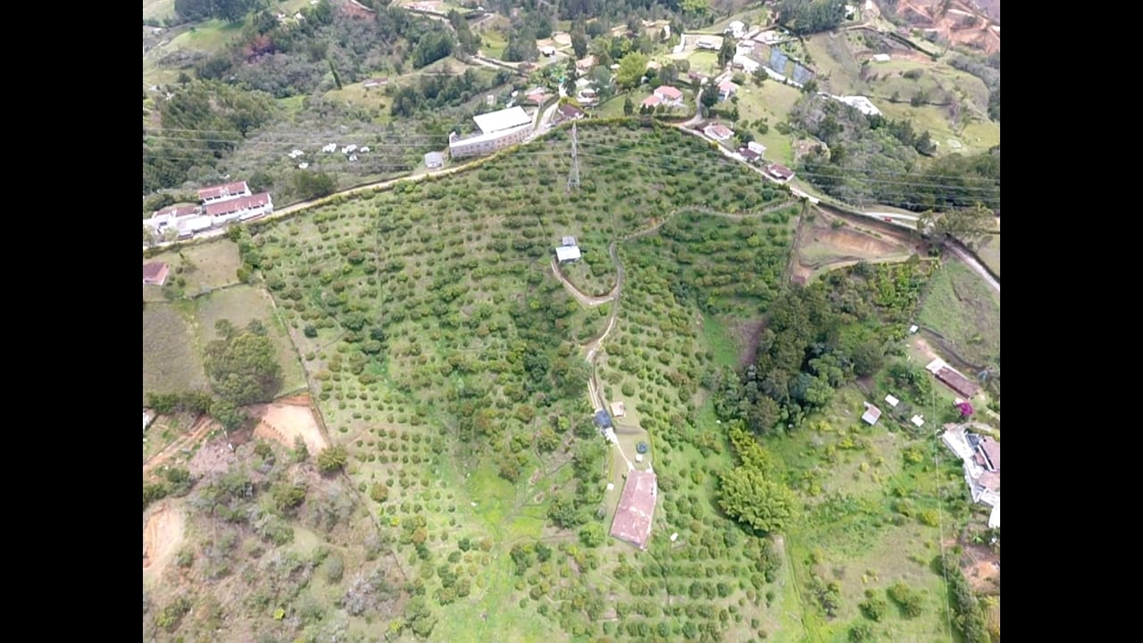 857301820240502093845